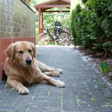 In Alt Schadow Mit Grill Und Terrasse Markische Heide
